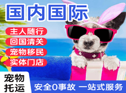 海口美兰国际宠物托运 【国